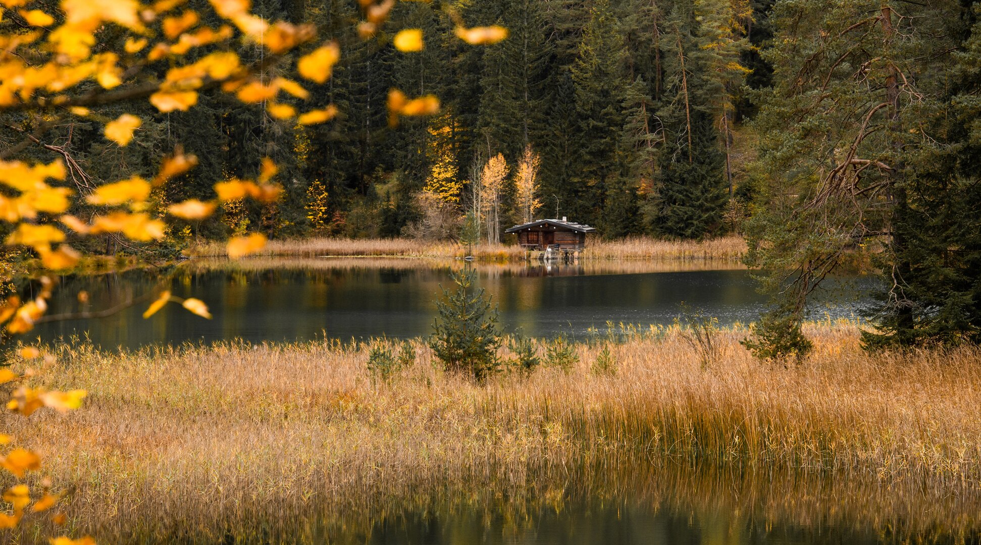 Herbst am Mittersee | © Tiroler Zugspitz Arena/Bianca McCarty Ein See und eine Holzhütte umgeben von einem herbstlichen Wald | © Tiroler Zugspitz Arena/Bianca McCarty